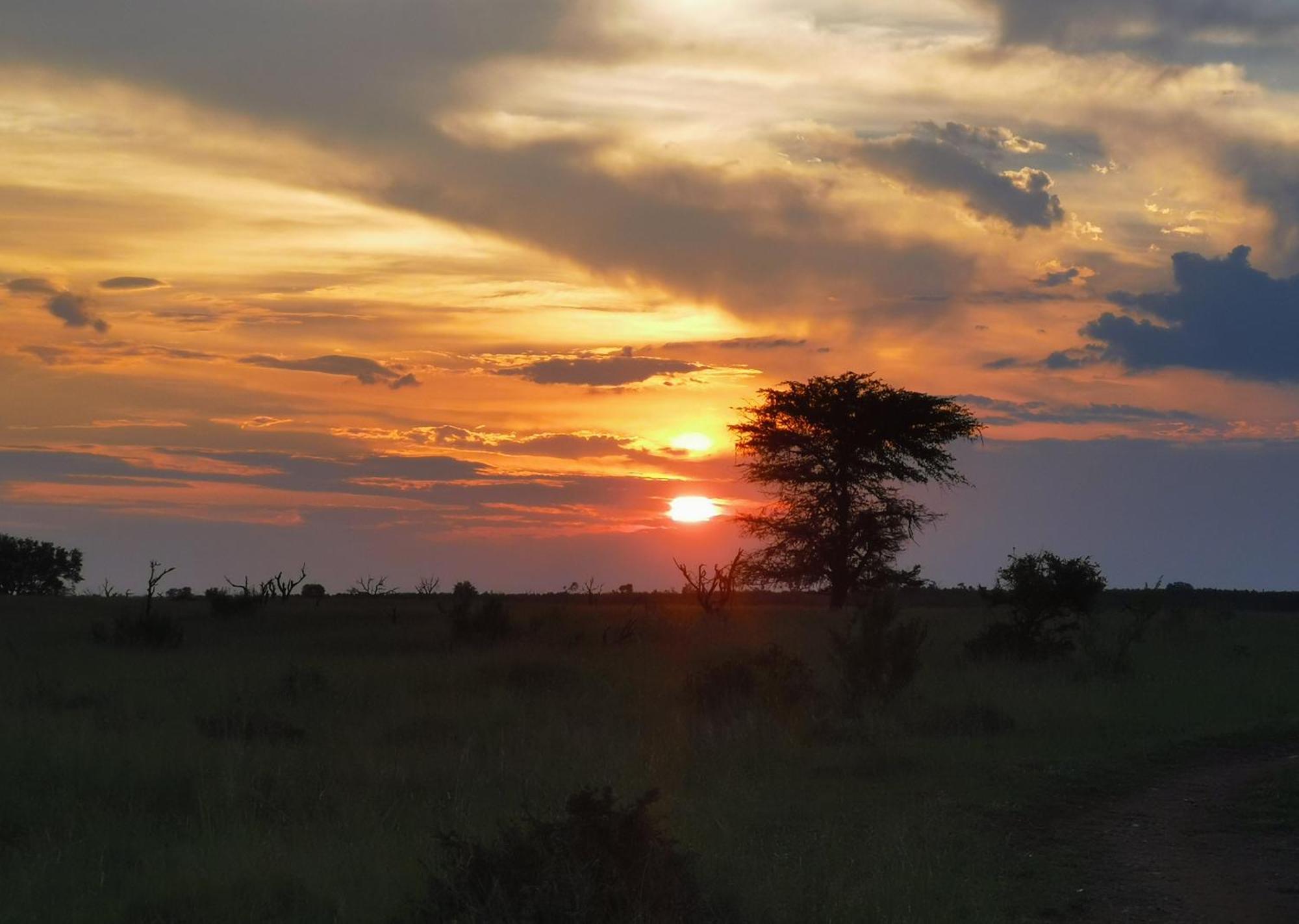Mjejane Bush Camp By Dream Resorts Hectorspruit Exteriér fotografie